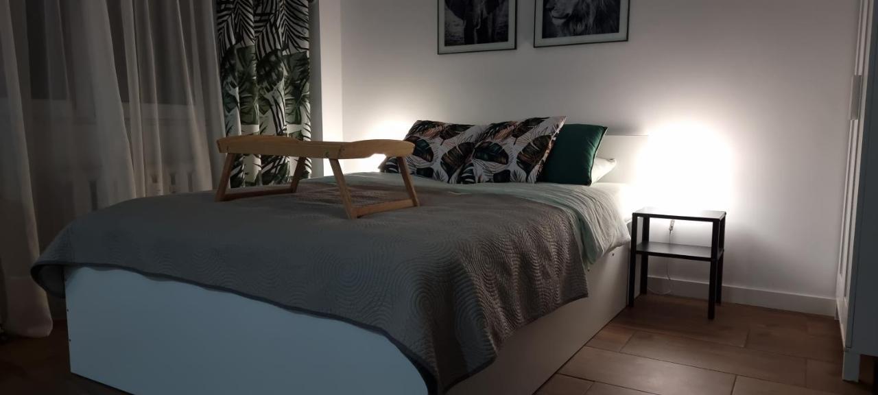 Apartament Ajrisa 22 Apartment Czestochowa Bagian luar foto