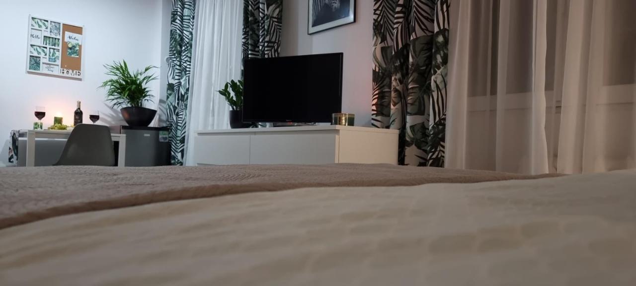 Apartament Ajrisa 22 Apartment Czestochowa Bagian luar foto