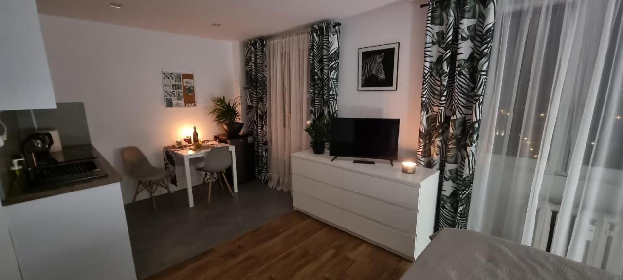 Apartament Ajrisa 22 Apartment Czestochowa Bagian luar foto